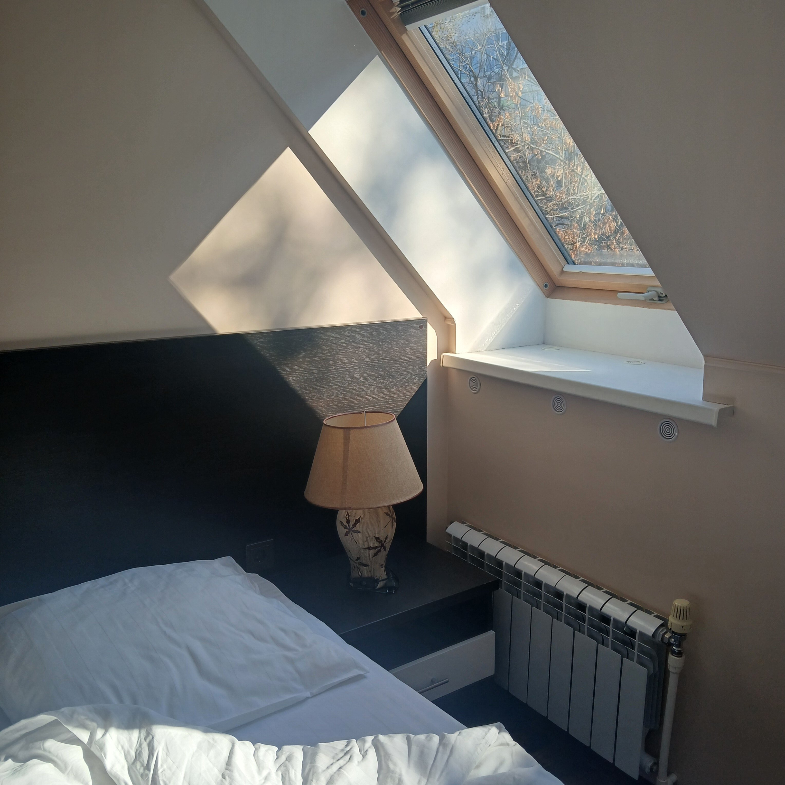 Фото Маргаритовъ