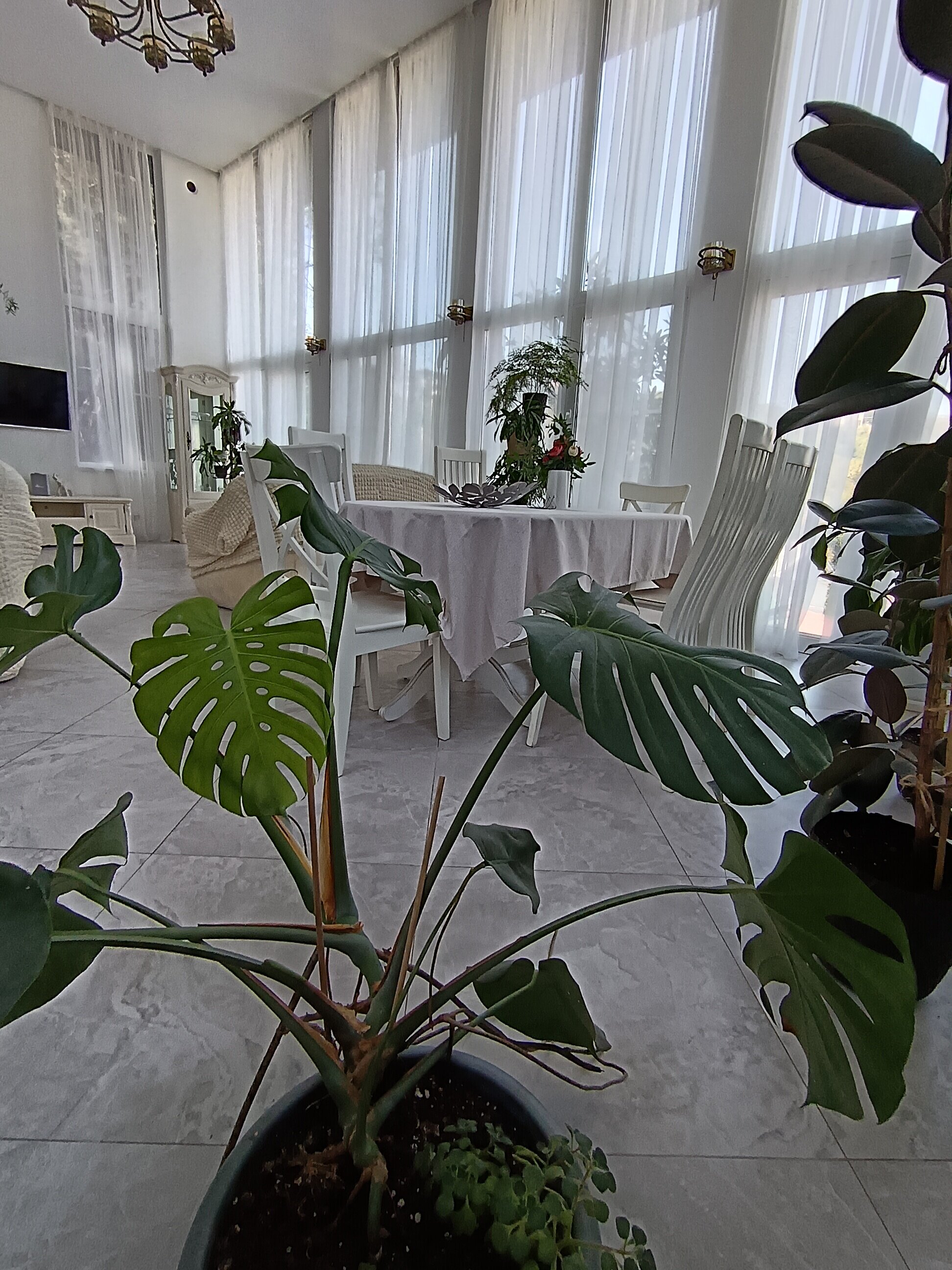 Фото Дом на Фабрициуса