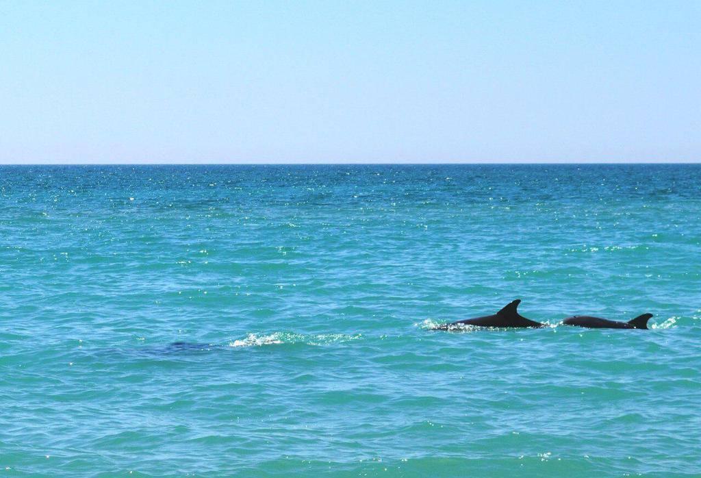 Фото Гостевой дом Тургенева 188
