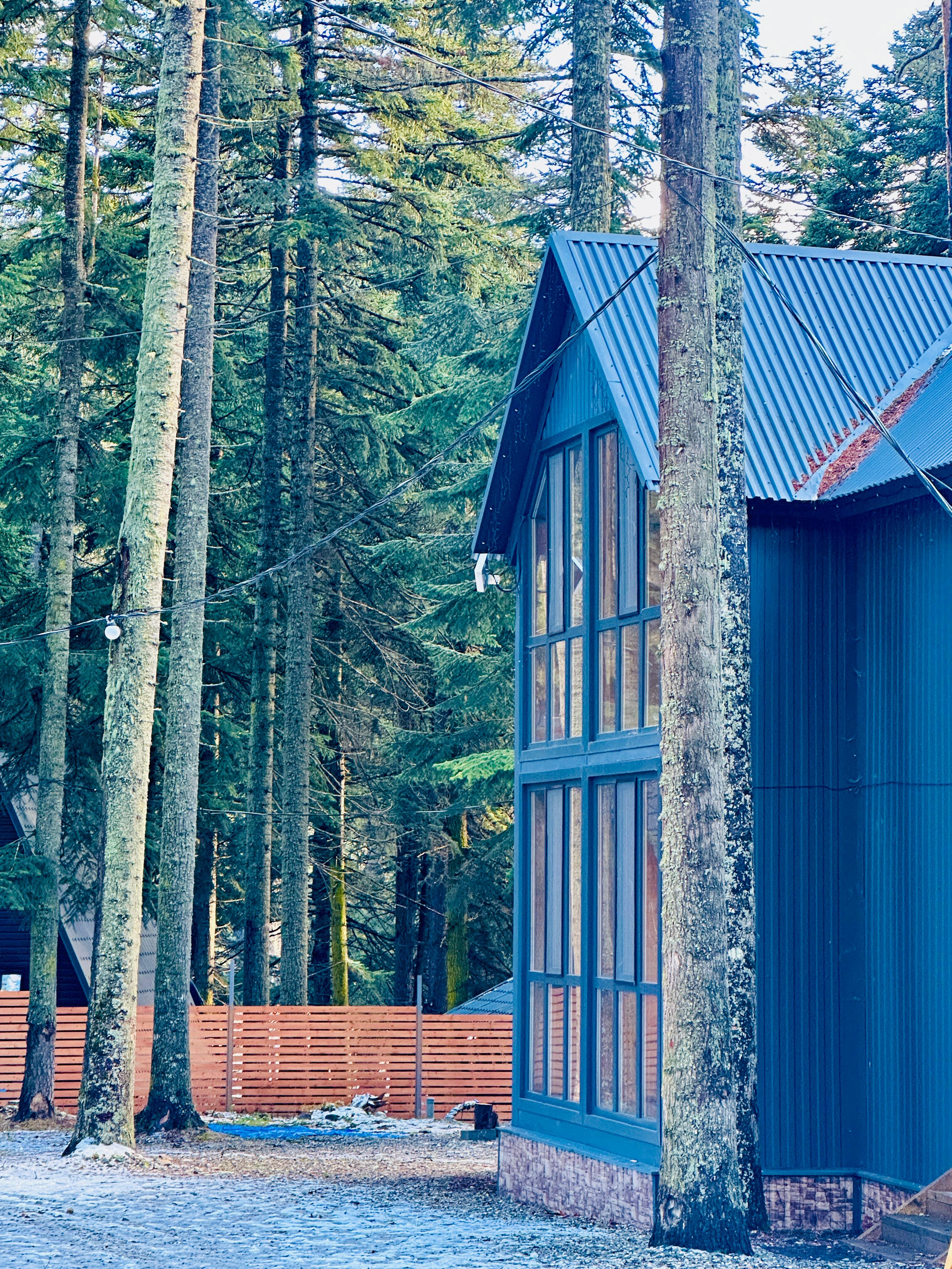 Фото Пихтовый парк