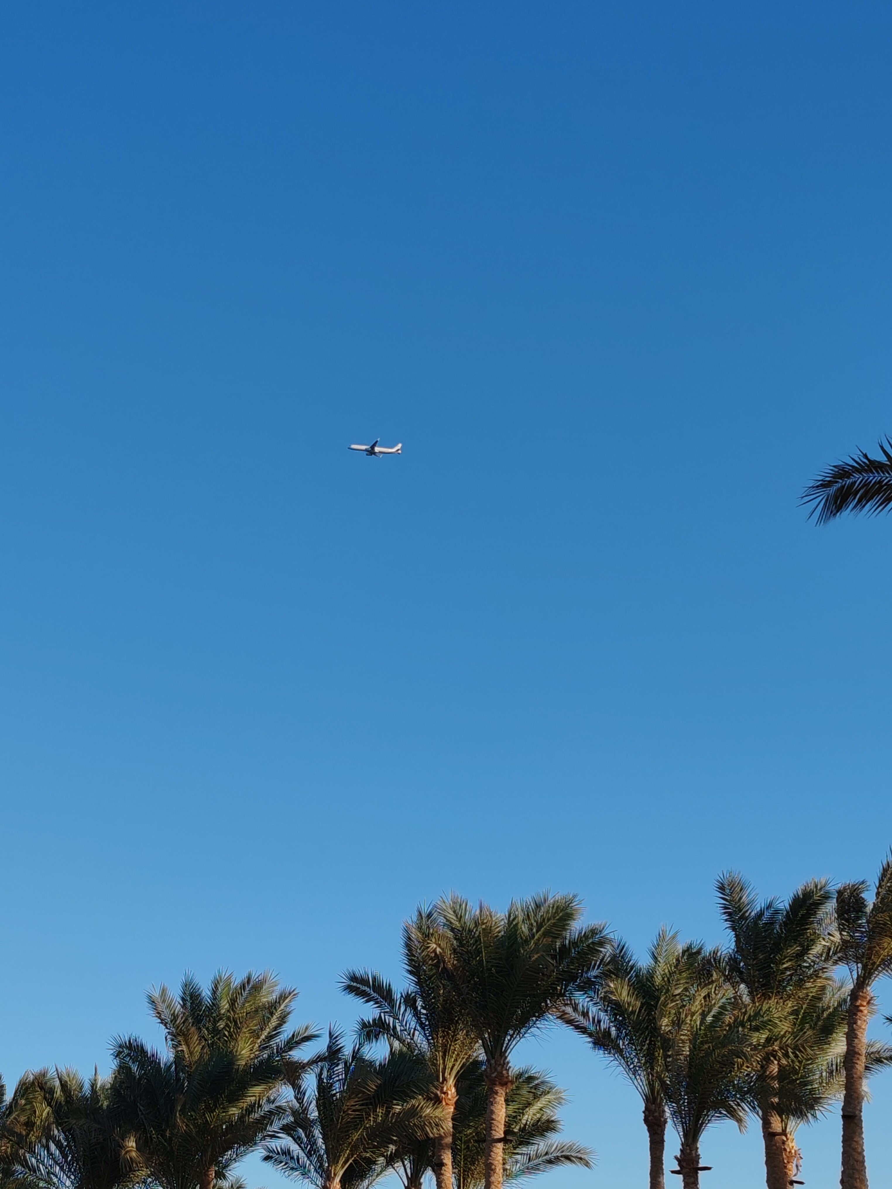 Фото Pickalbatros Laguna Club Resort Sharm El Sheikh