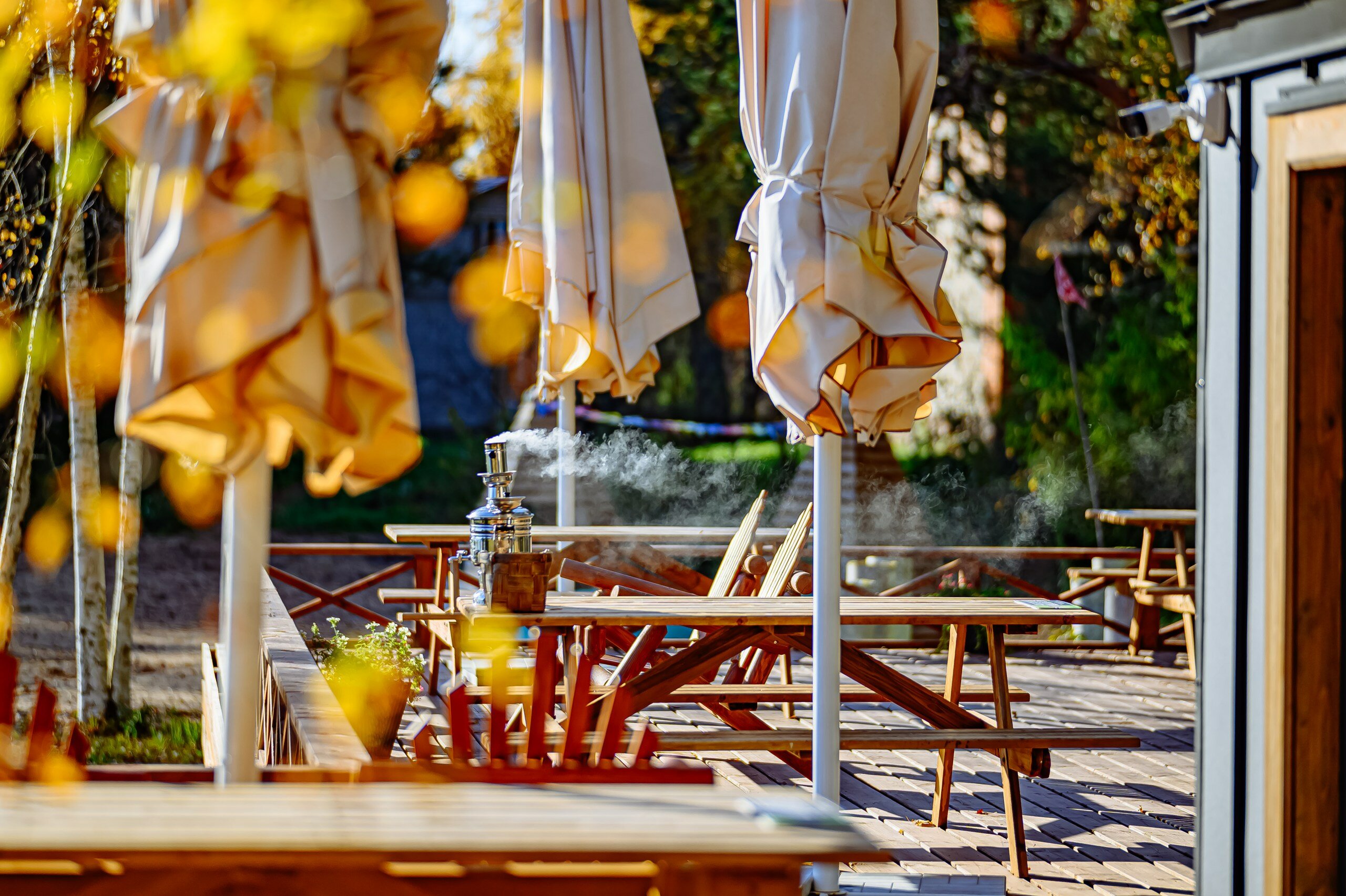 Фото Велино