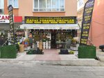 Altinoz Food (Ankara Province, Kecioren District, Etlik Mah., Kuyuyazısı Cad., 7G), grocery