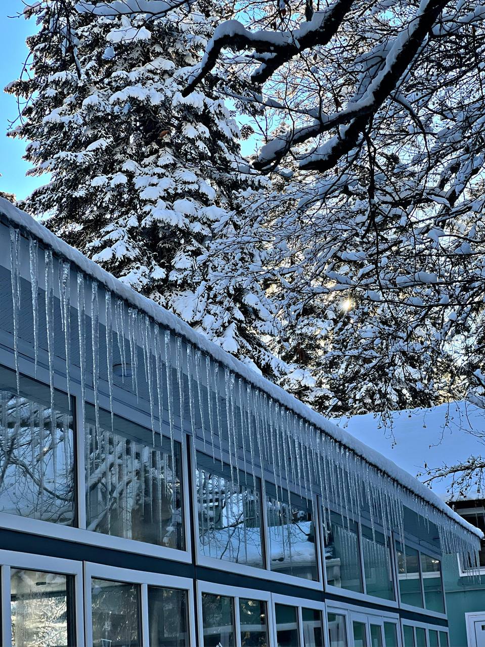 Фото Green Park Arkhyz SPA & Усадьба