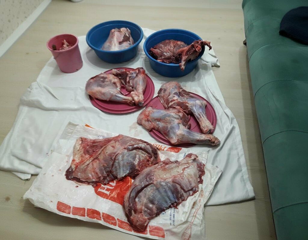 Bakery Potoglu Bread Bakery, Carsamba, photo