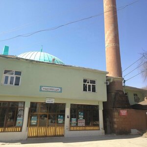 Central Mosque (Siirt, Baykan), mosque