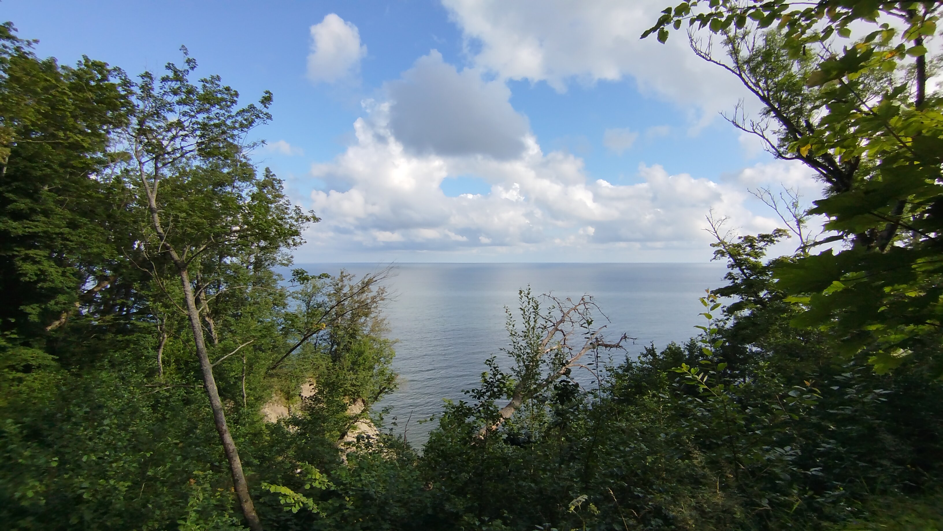 Фото Дикий берег