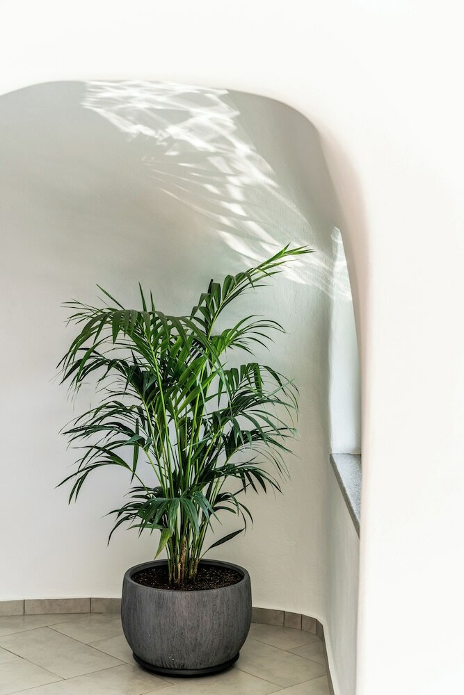 Фото Ventus Paradiso Villa