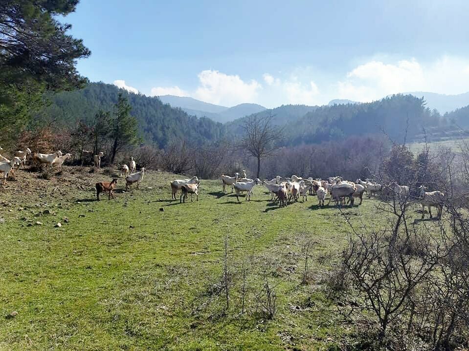 Industrial enterprise From Village to My Home, Mengen, photo