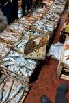 Eregli Fish Market (Kocaeli, Karamursel, Eregli Neighborhood, Kumyali Avenue, 10/3), fish and seafood