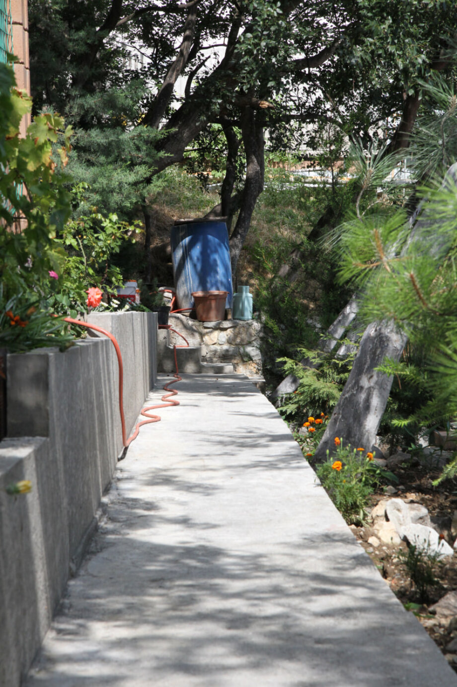 Фото Magic Kingdom