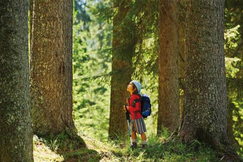 Фото Hotel Liberty