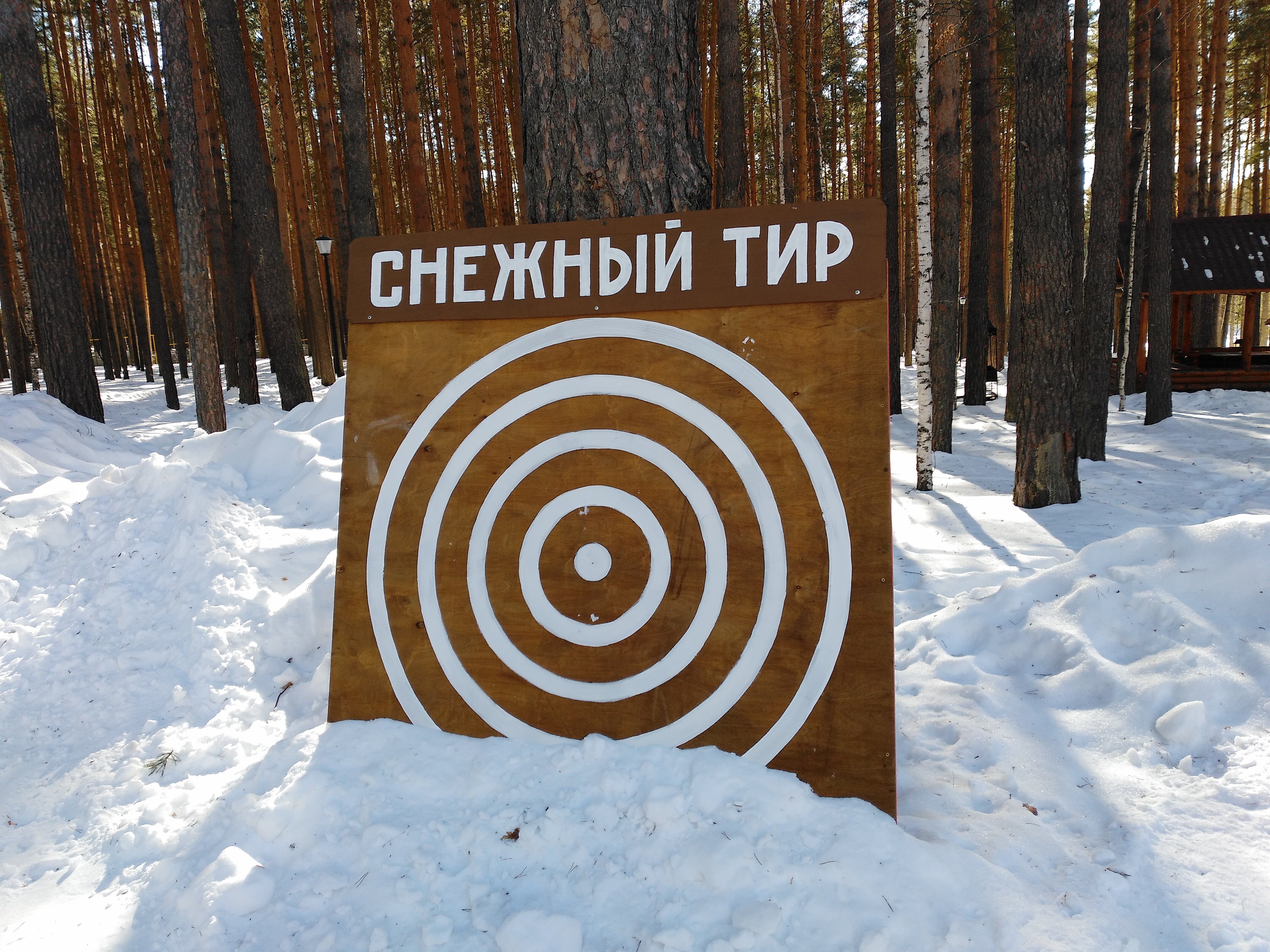 Фото Иволга