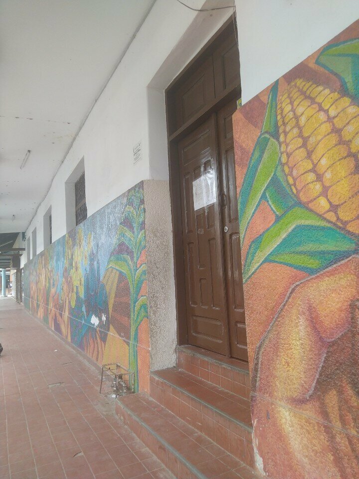 Educational center Victorino Rivero School, Santa Cruz de la Sierra, photo