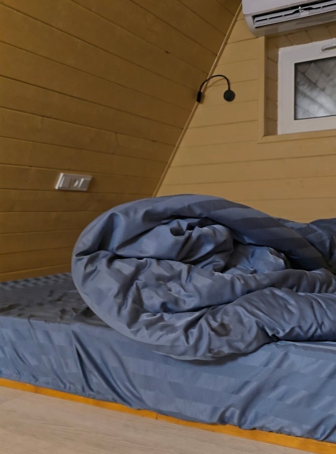 Фото Аквариум