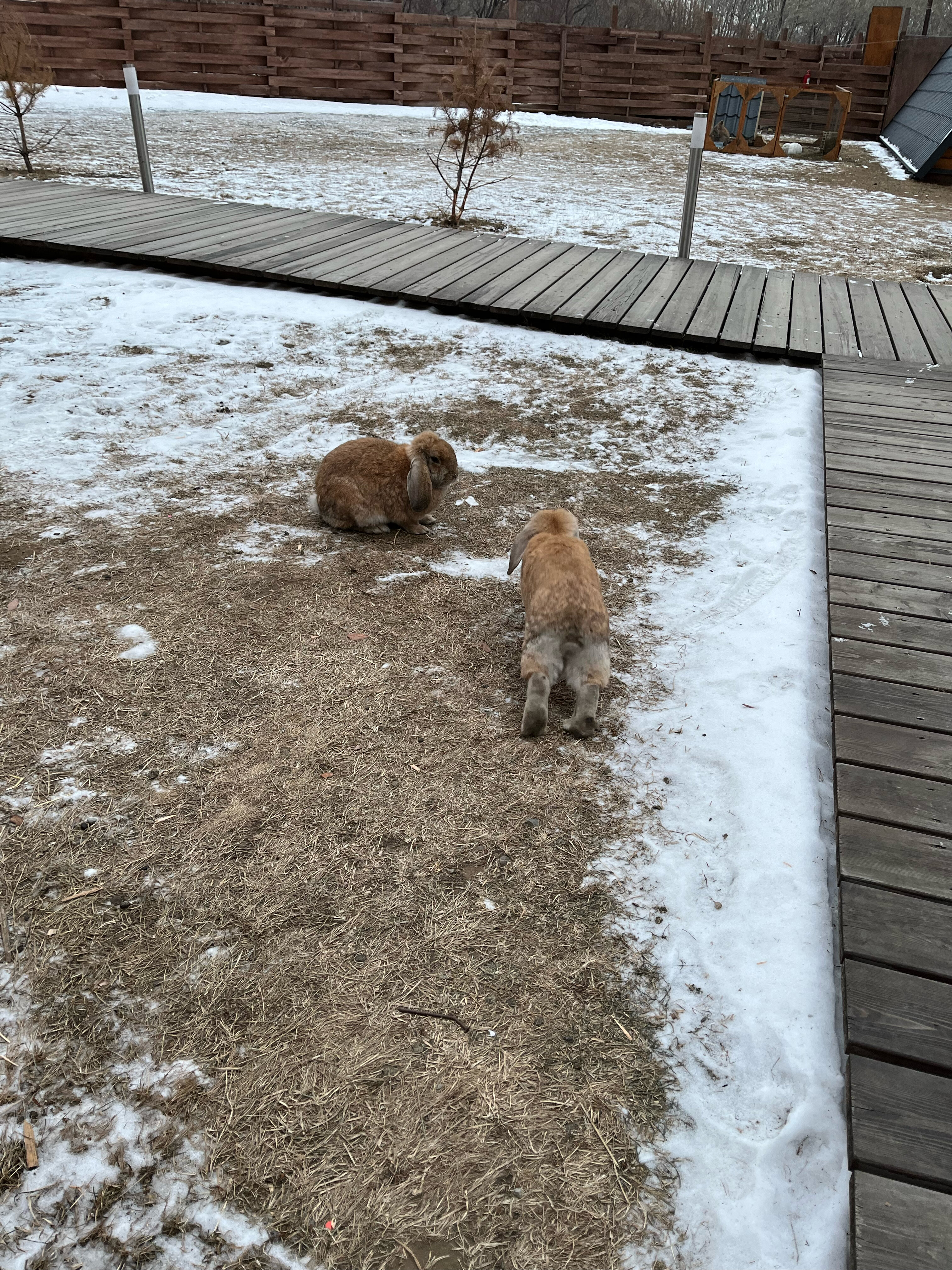 Фото Остров 7 тополей