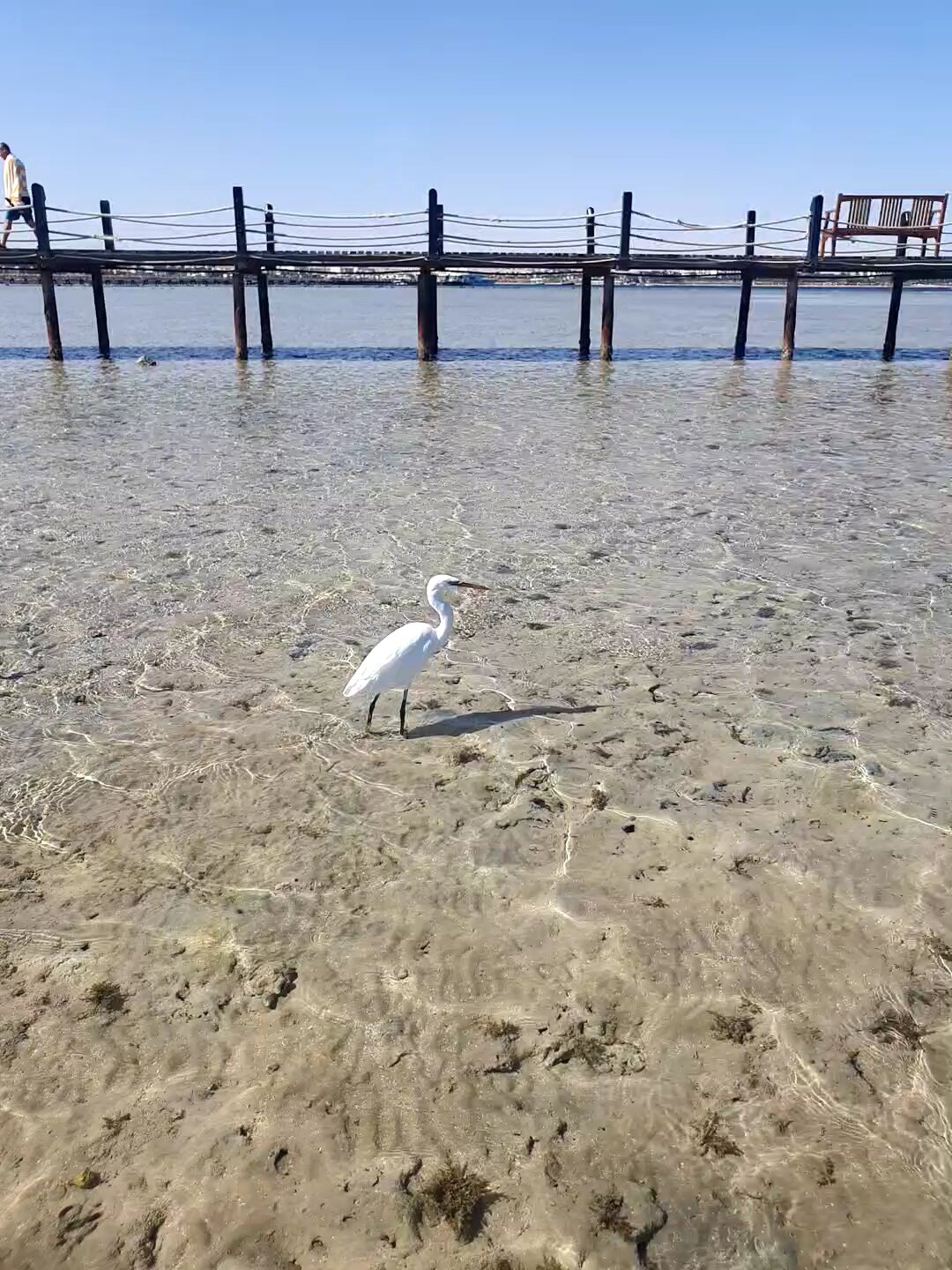 Фото Stella Gardens Resort & SPA