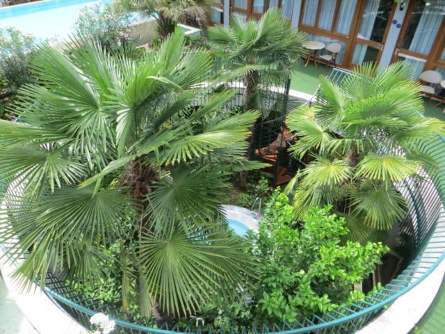 Фото Hotel Alexander