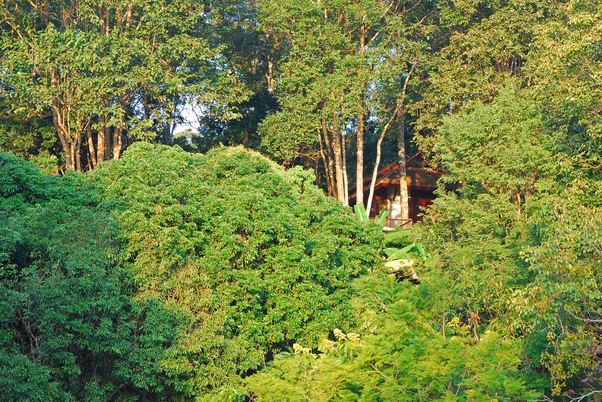 Фото Vanilla Hill