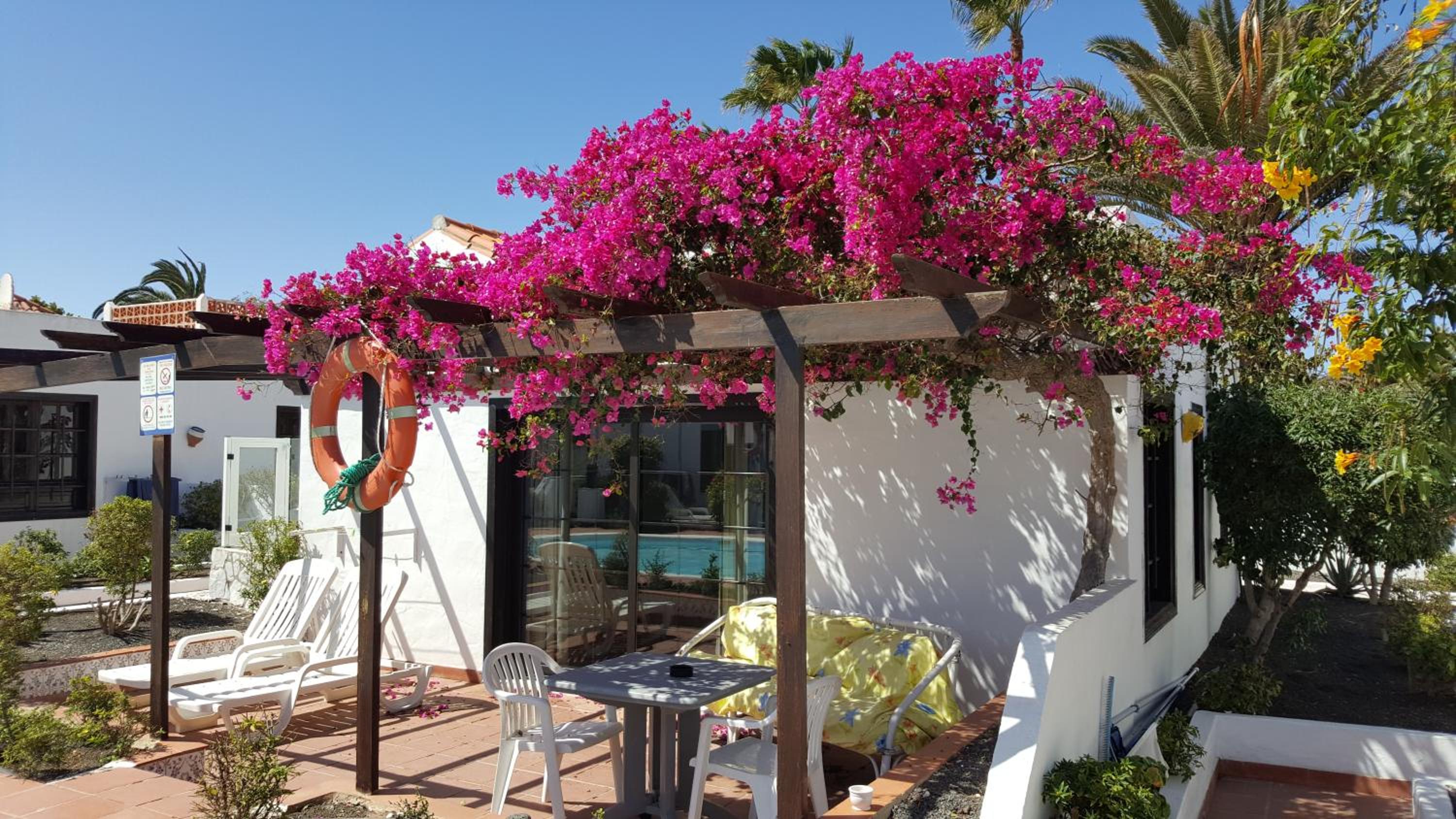 Фото La Concha del Mar Apartments