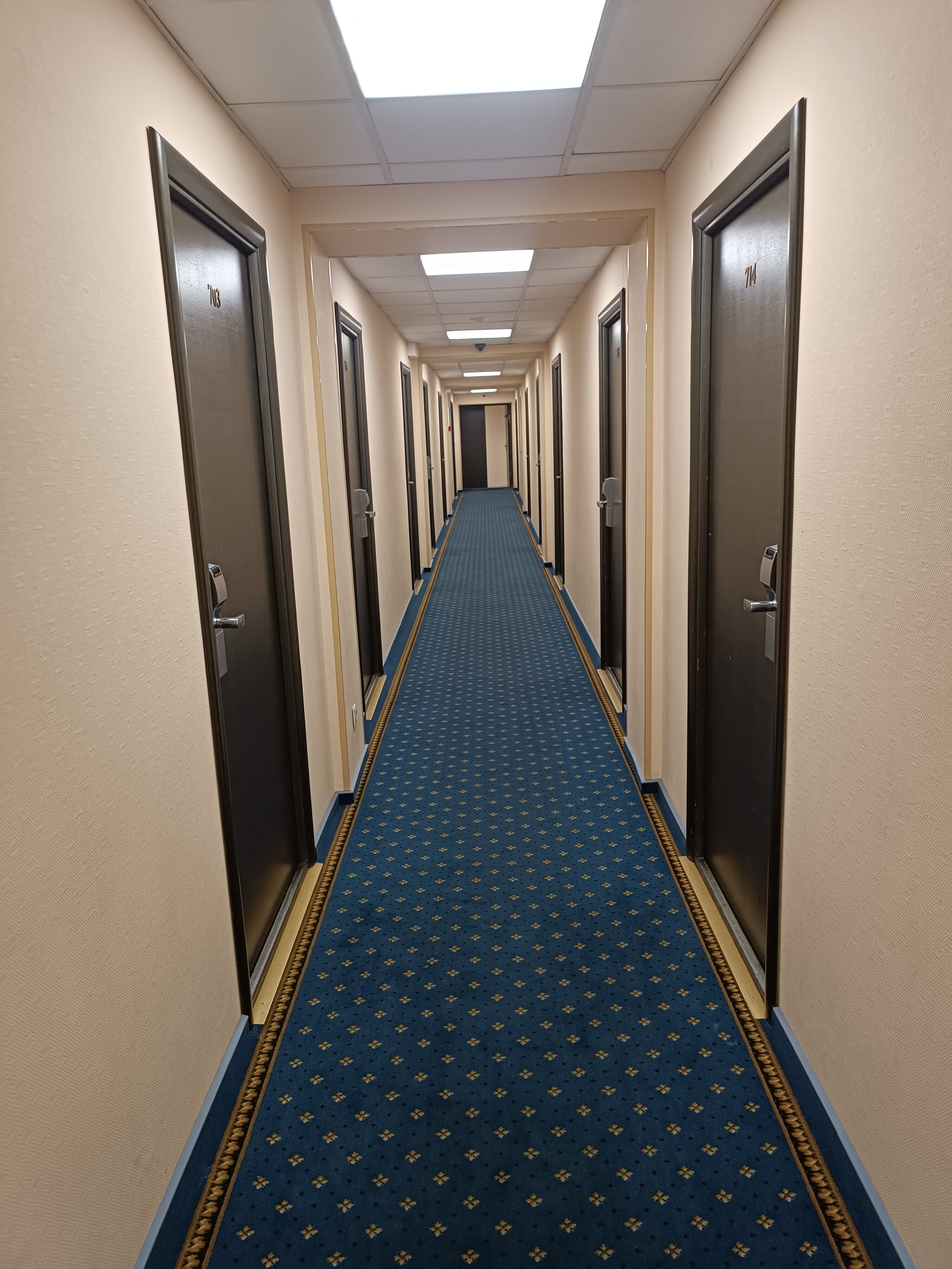 Фото Лапландия