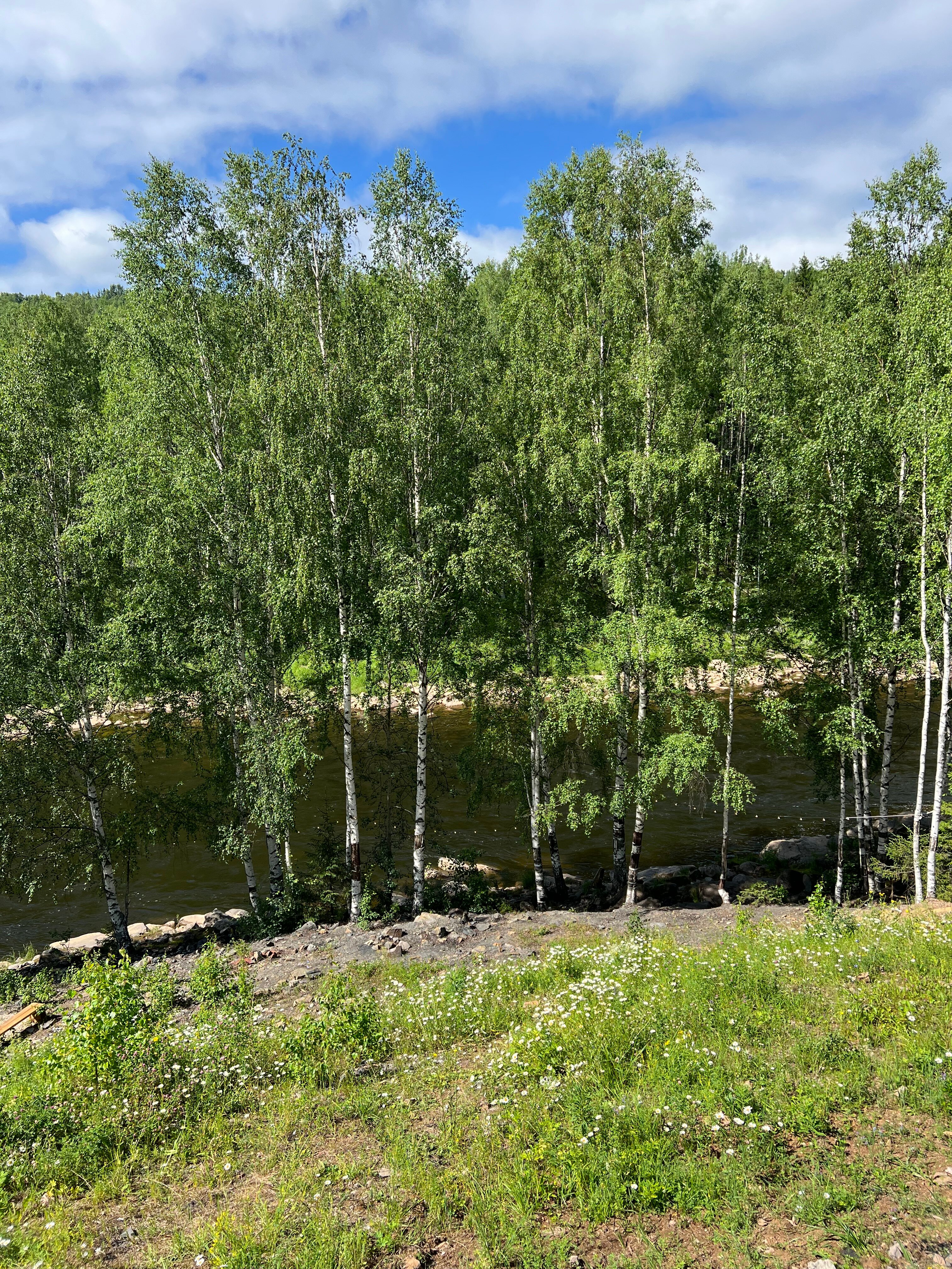 Фото Панорамный