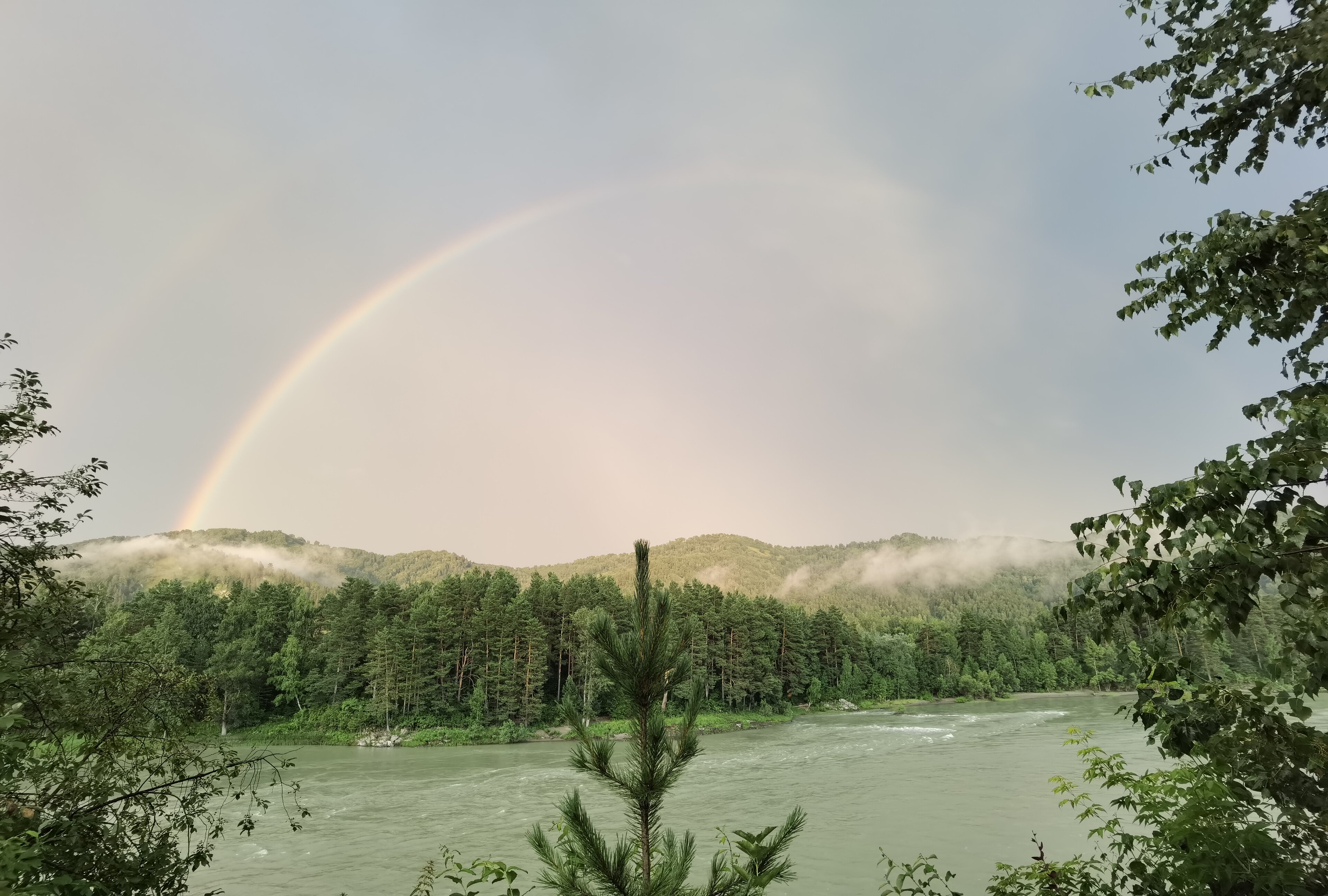Фото Корона Алтая