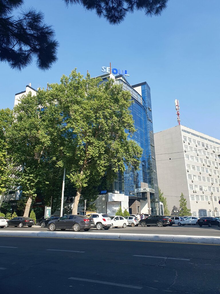 Визовые центры иностранных государств Visametric, Ташкент, фото