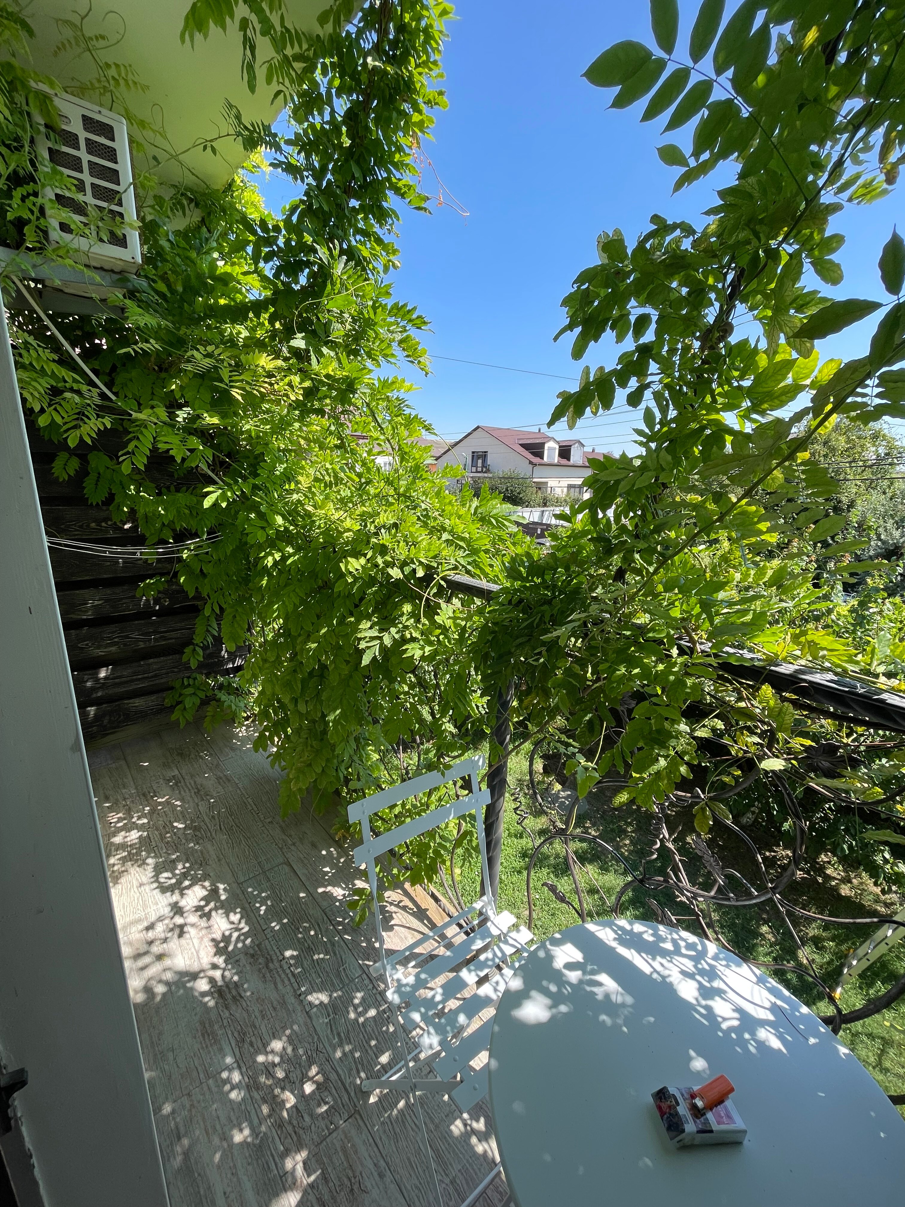 Фото Лазурный 38