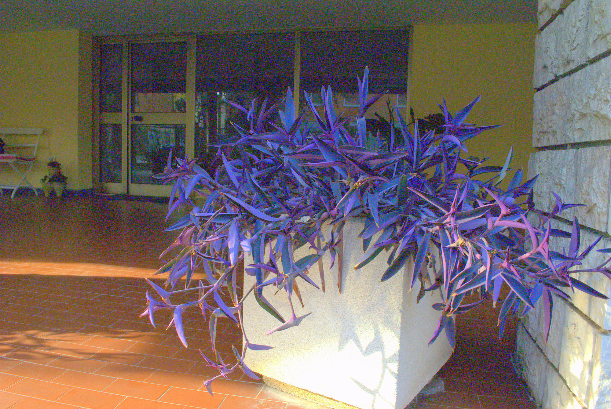 Фото Casa Patavina