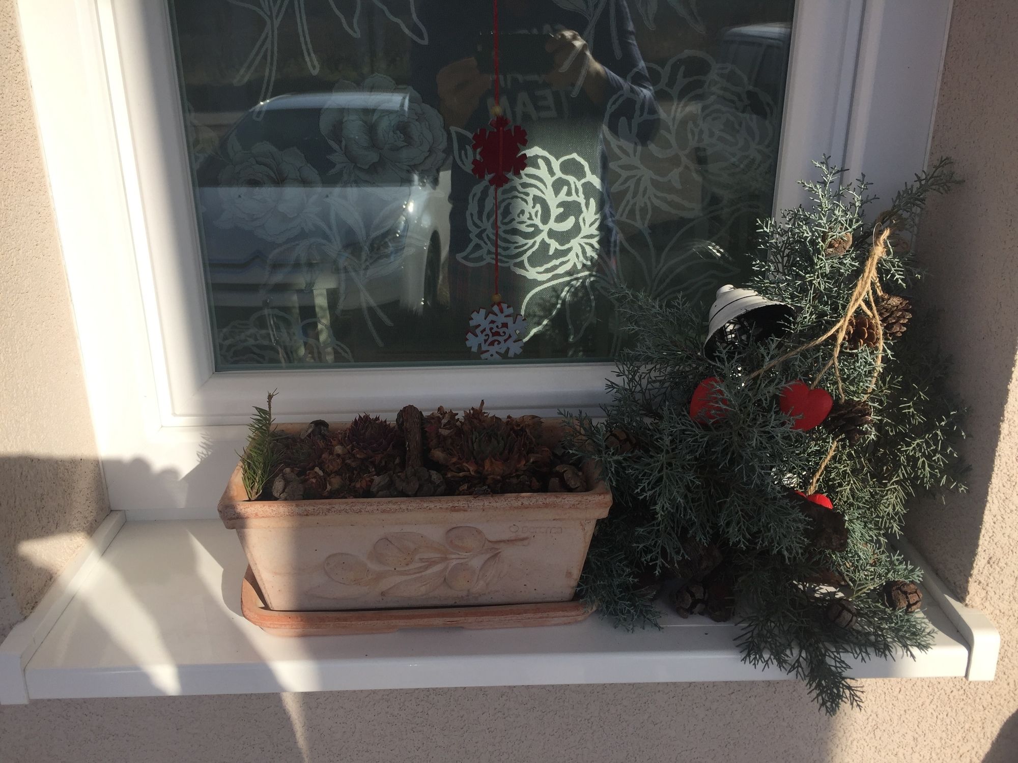 Фото Villa Flowers