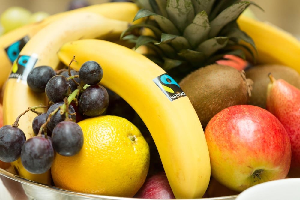 Фото Гостиница Capricorno