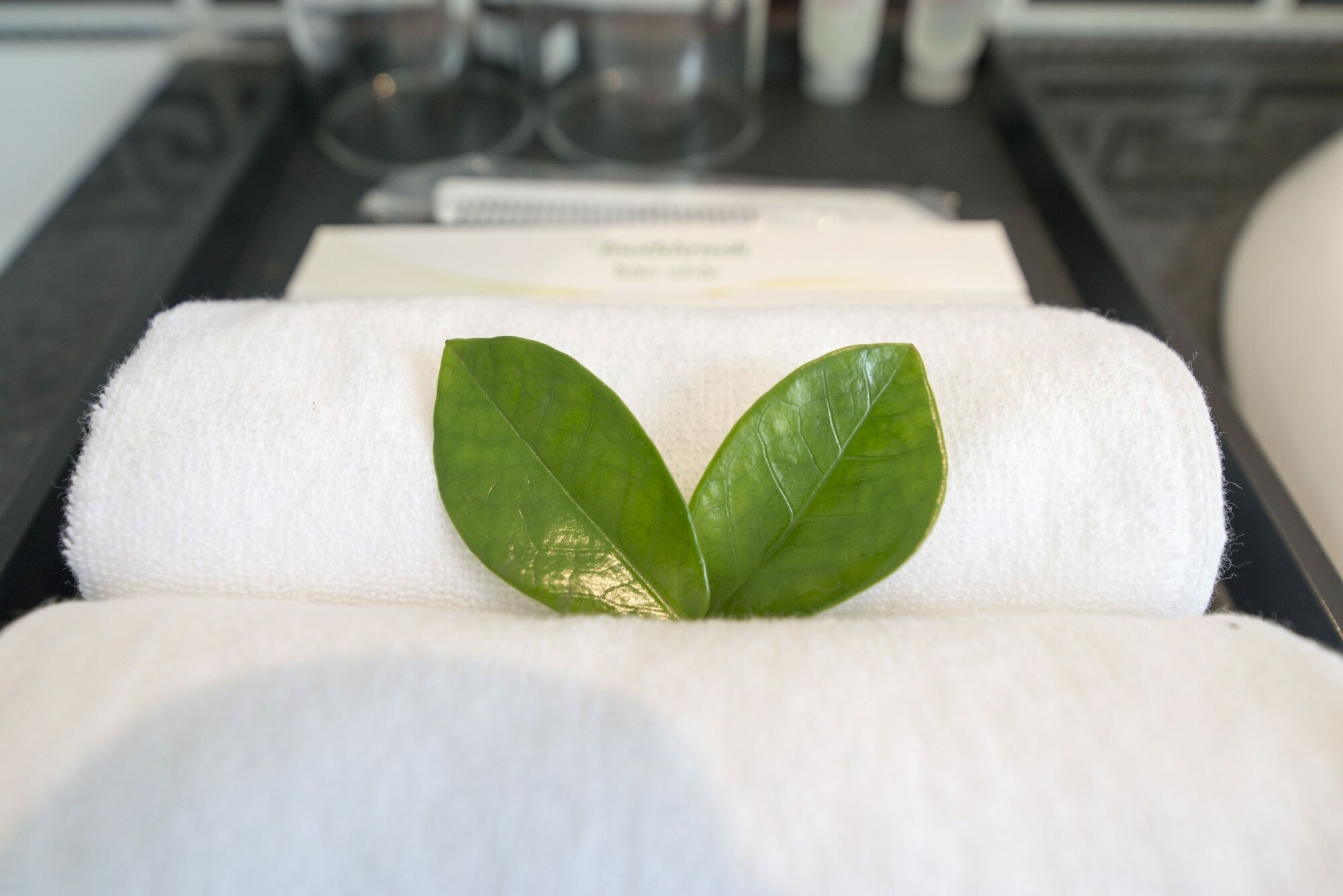 Фото Palma Phu Quoc Resort