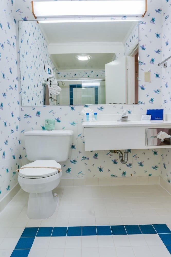 Фото Francisco Bay Inn