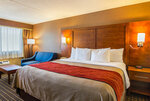 Comfort Inn Springfield