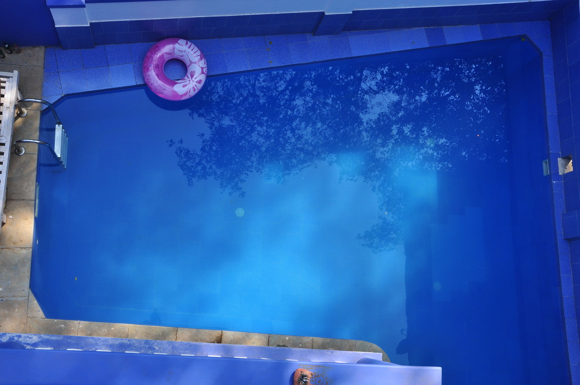 Фото Hotel Seagull