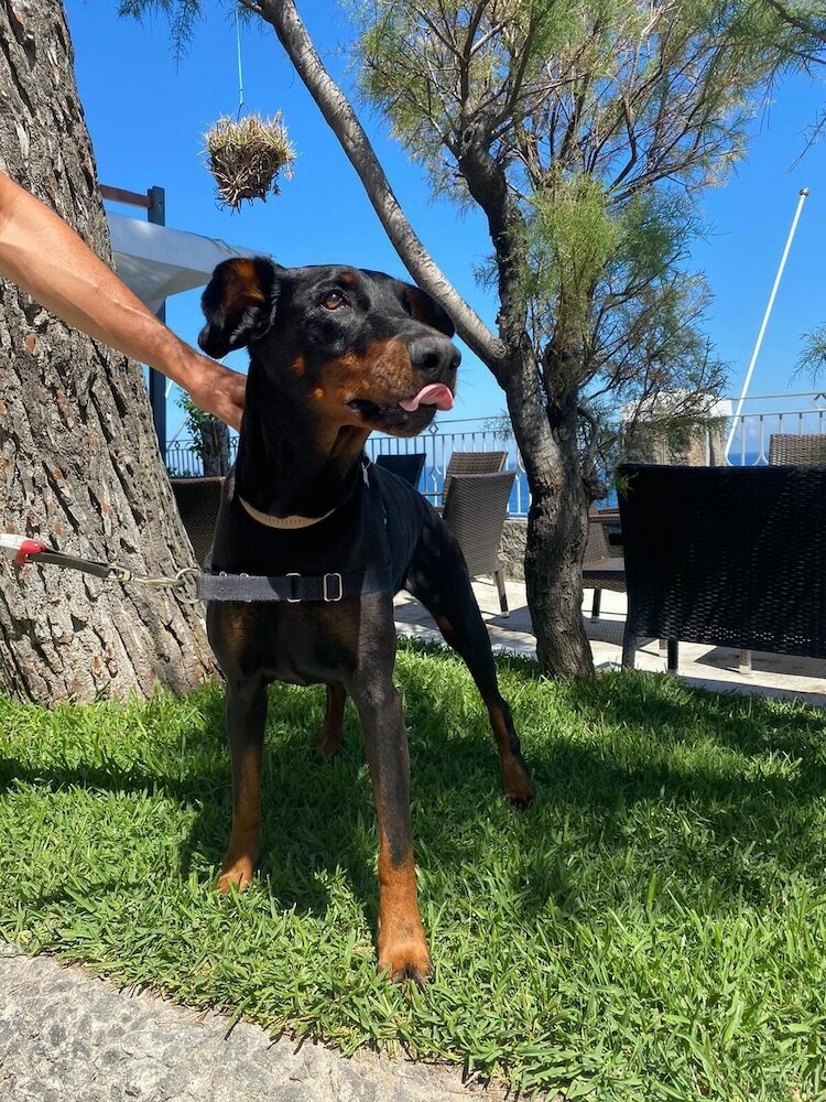 Фото Hotel La Madonnina