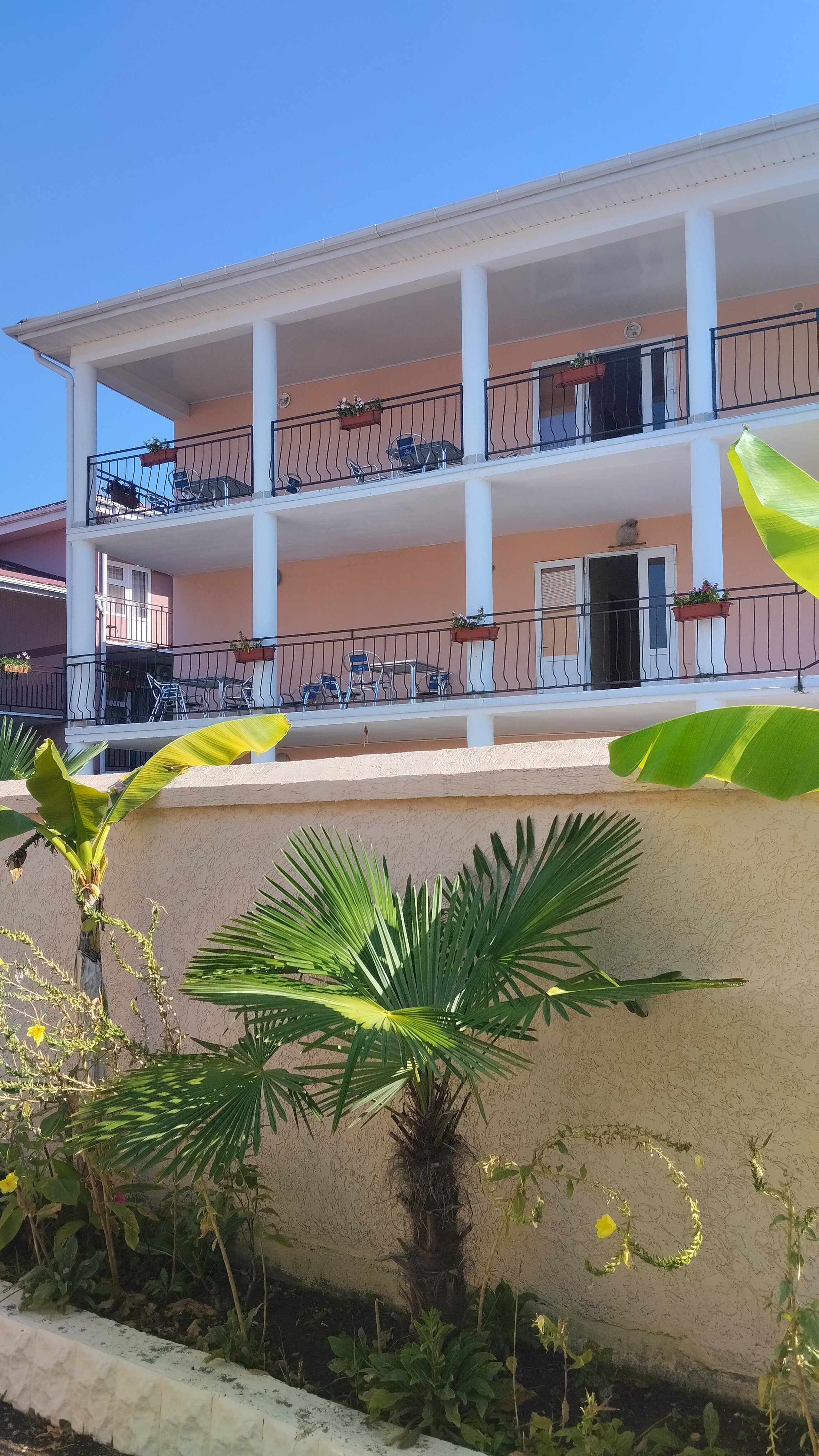 Фото Эмилия