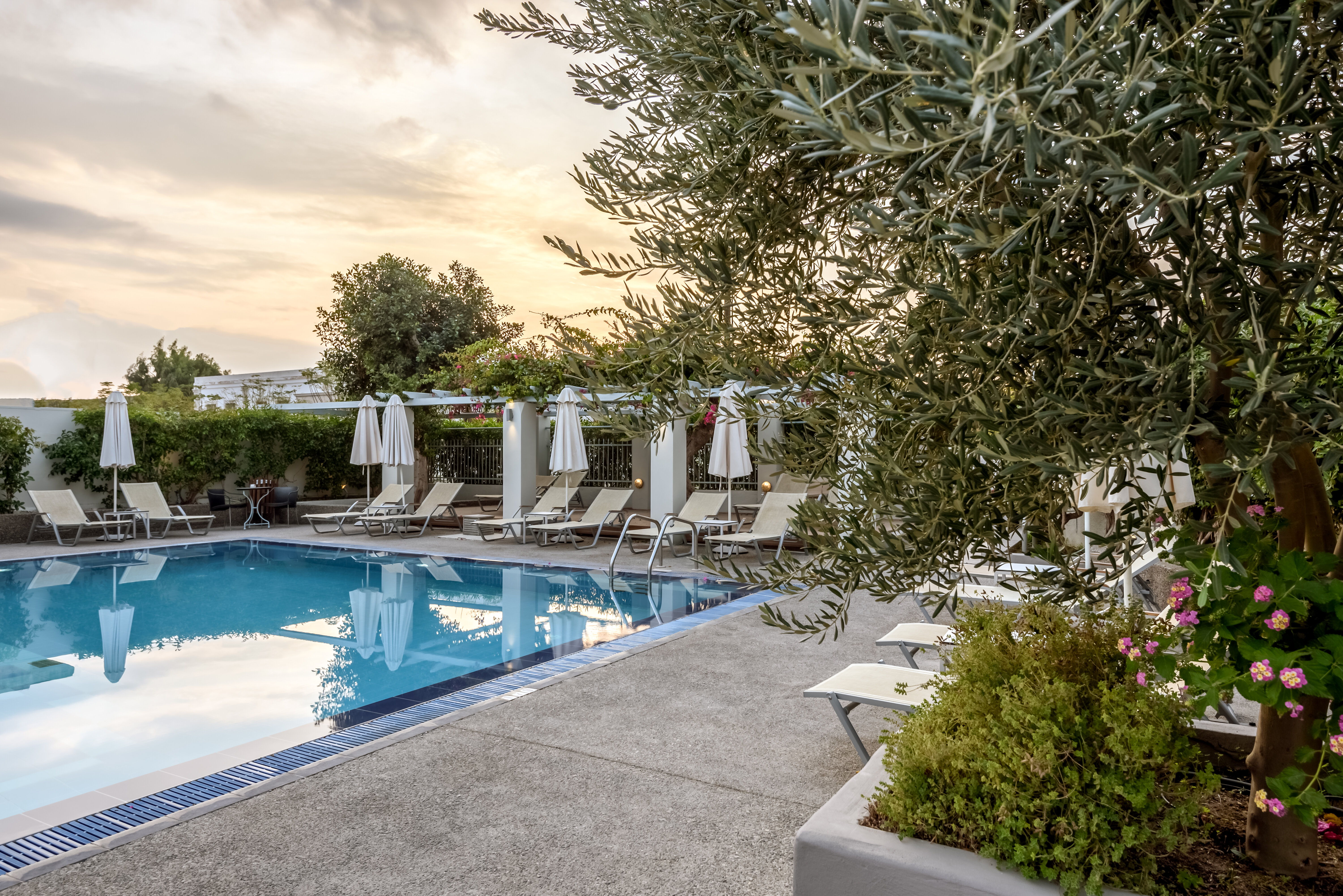 Фото Nissia Kamares Hotel Apartments