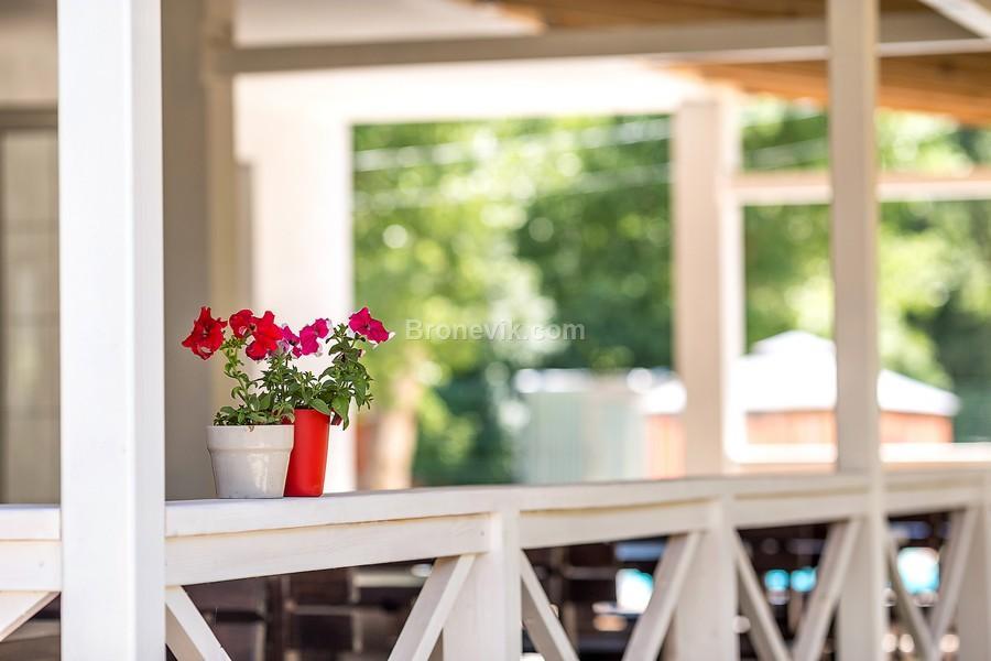 Фото Дублин Дельфин