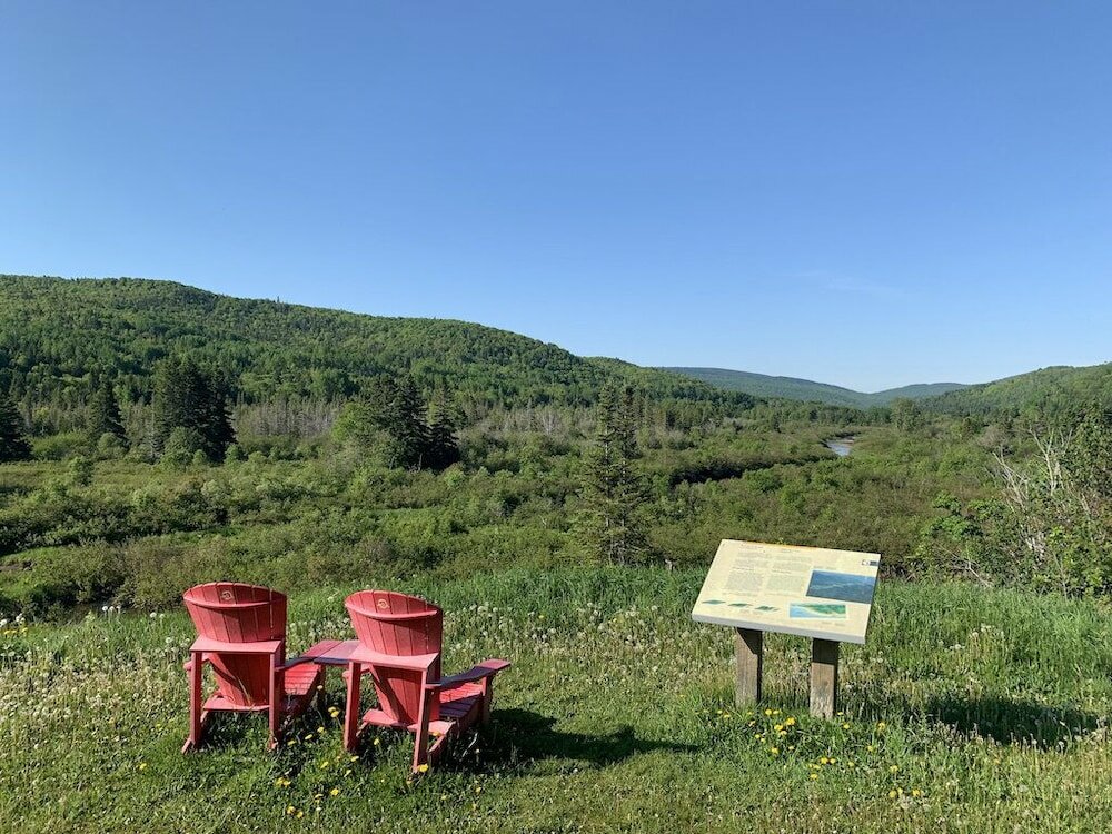 Фото Les chanterelles de Forillon