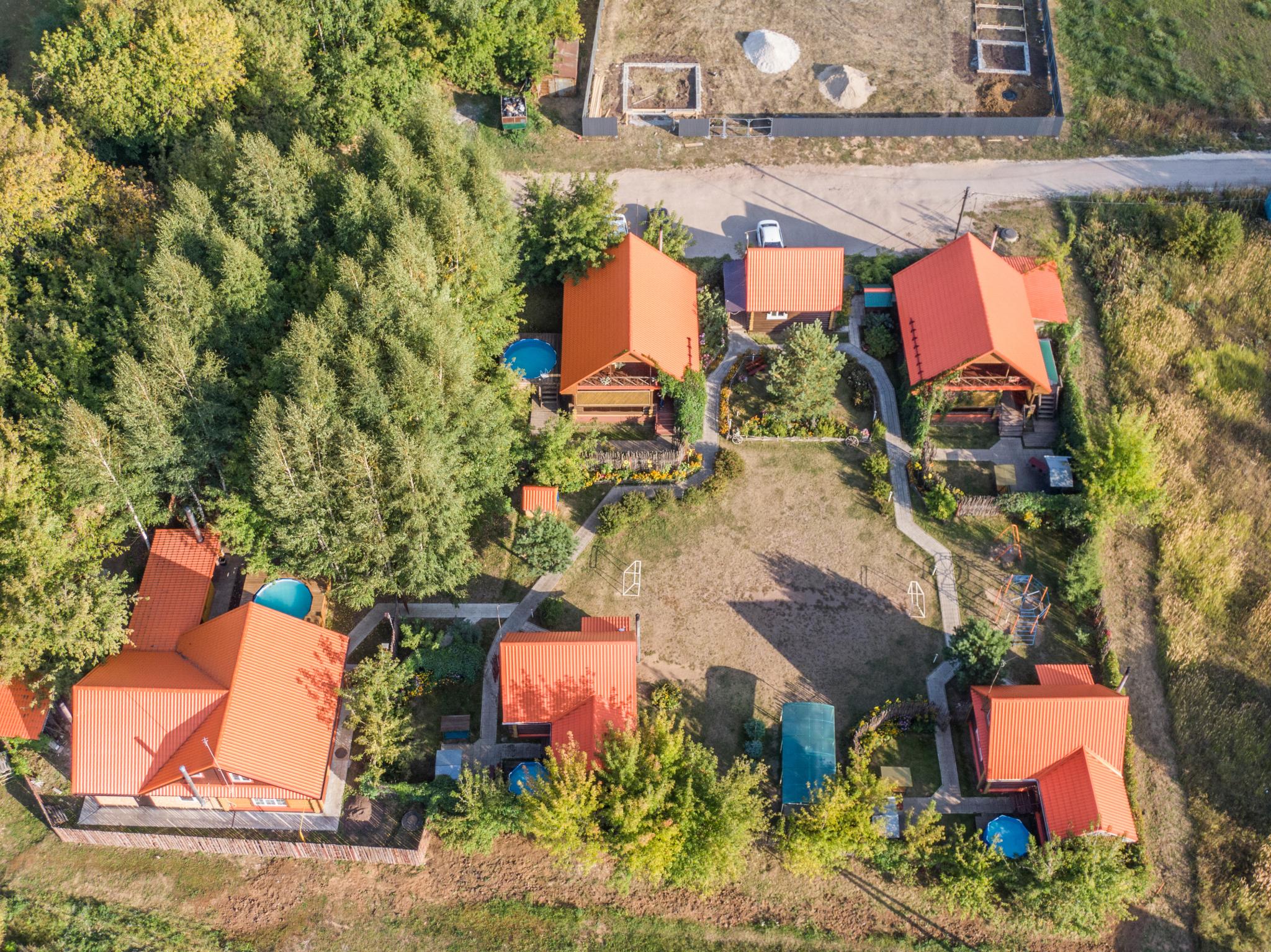 Фото Подсолнух