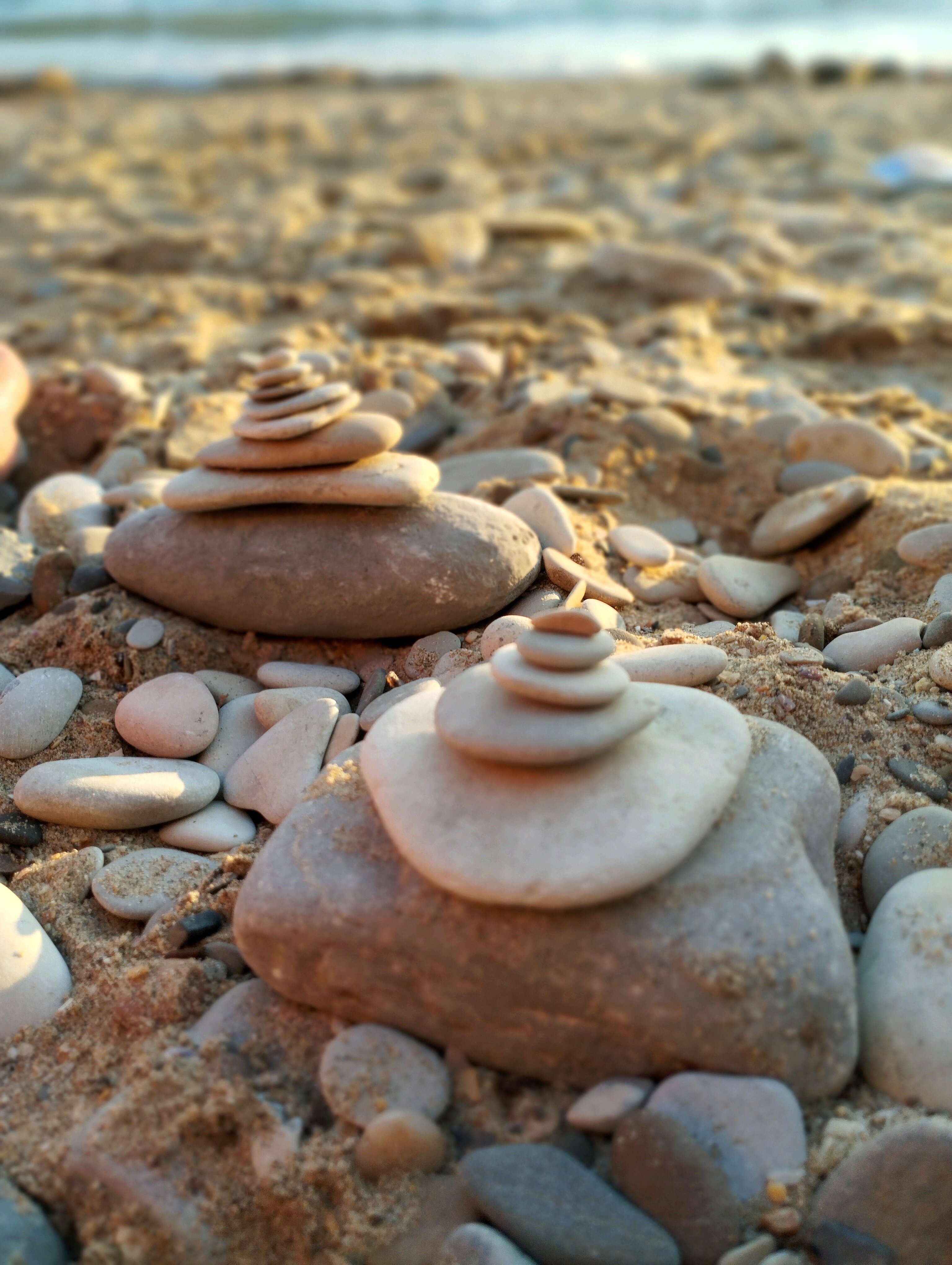 Фото Надежда