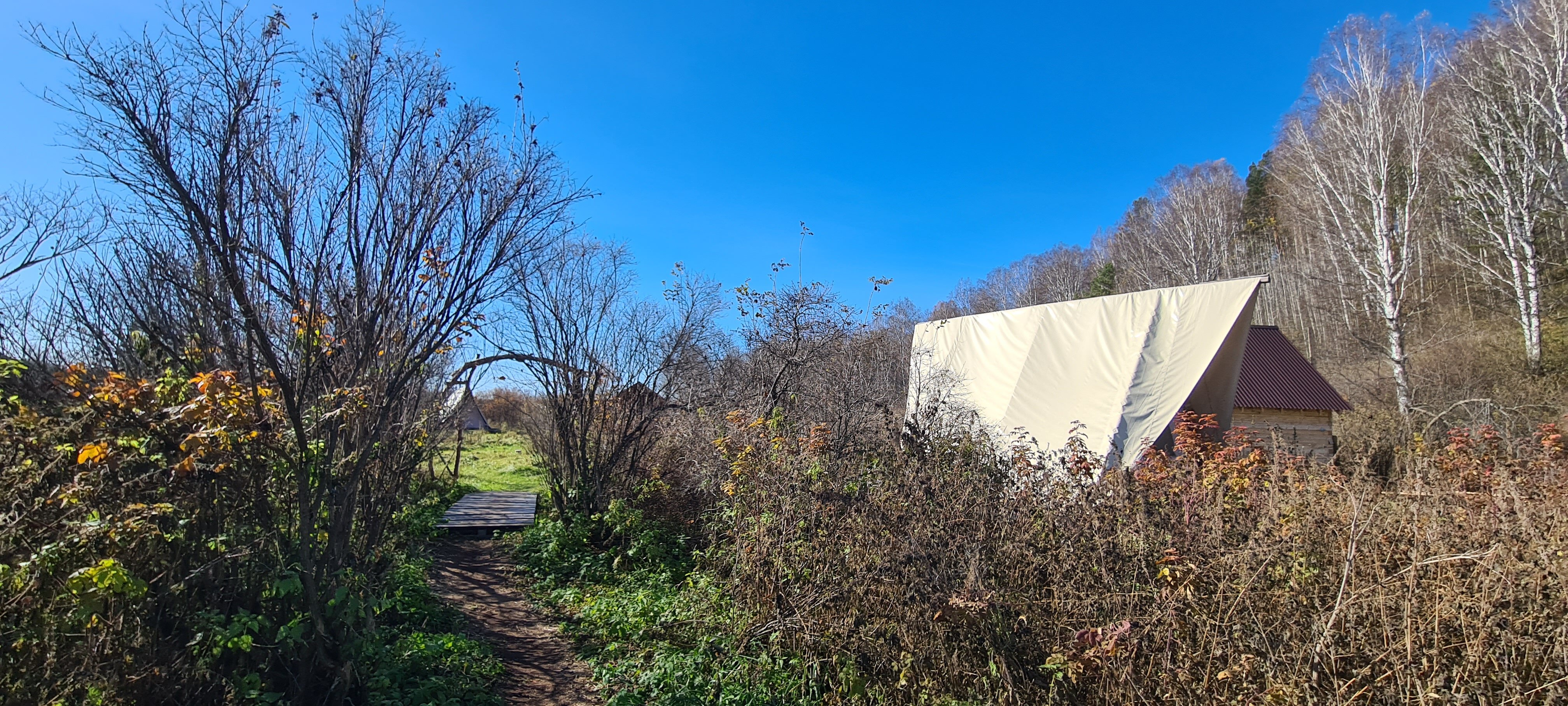 Фото Глэмпинг Стрекоза