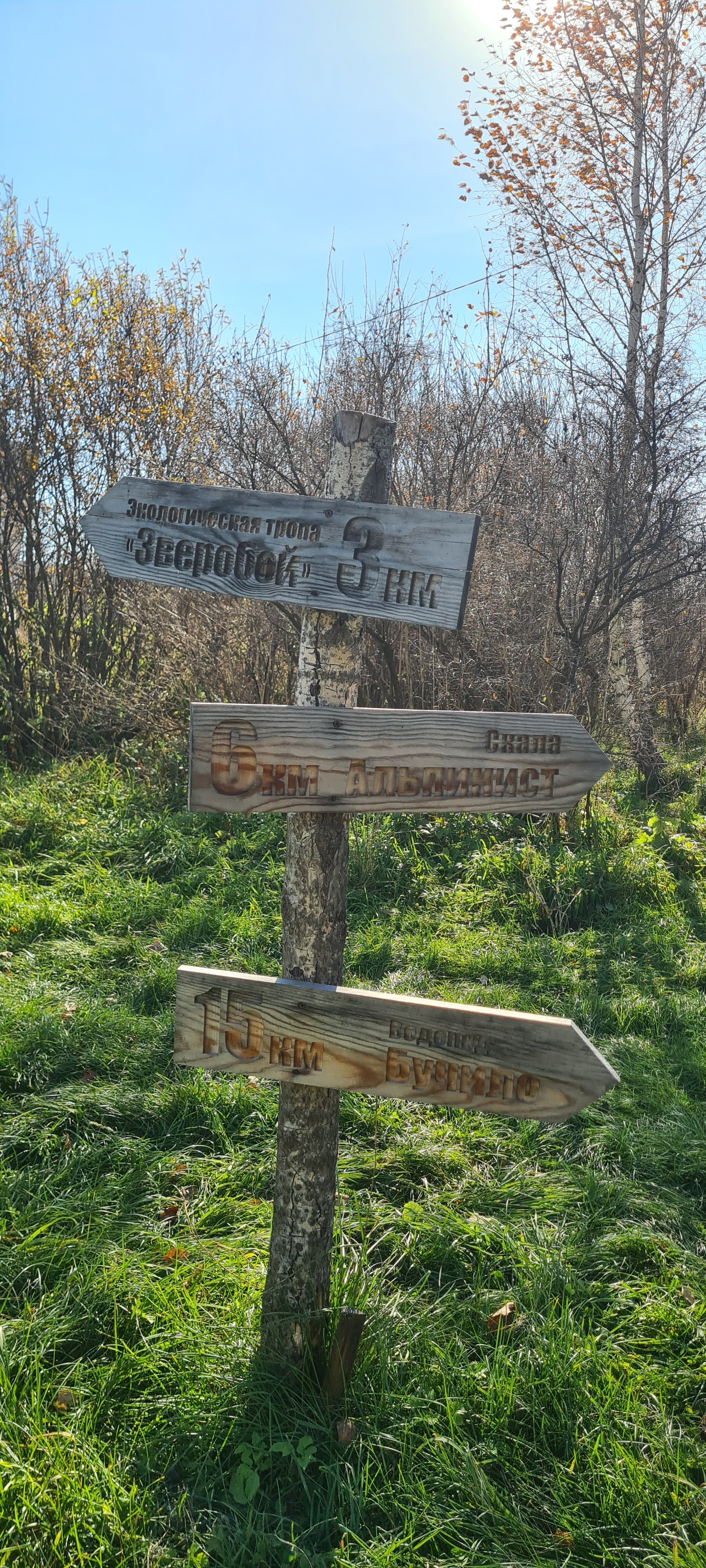 Фото Глэмпинг Стрекоза