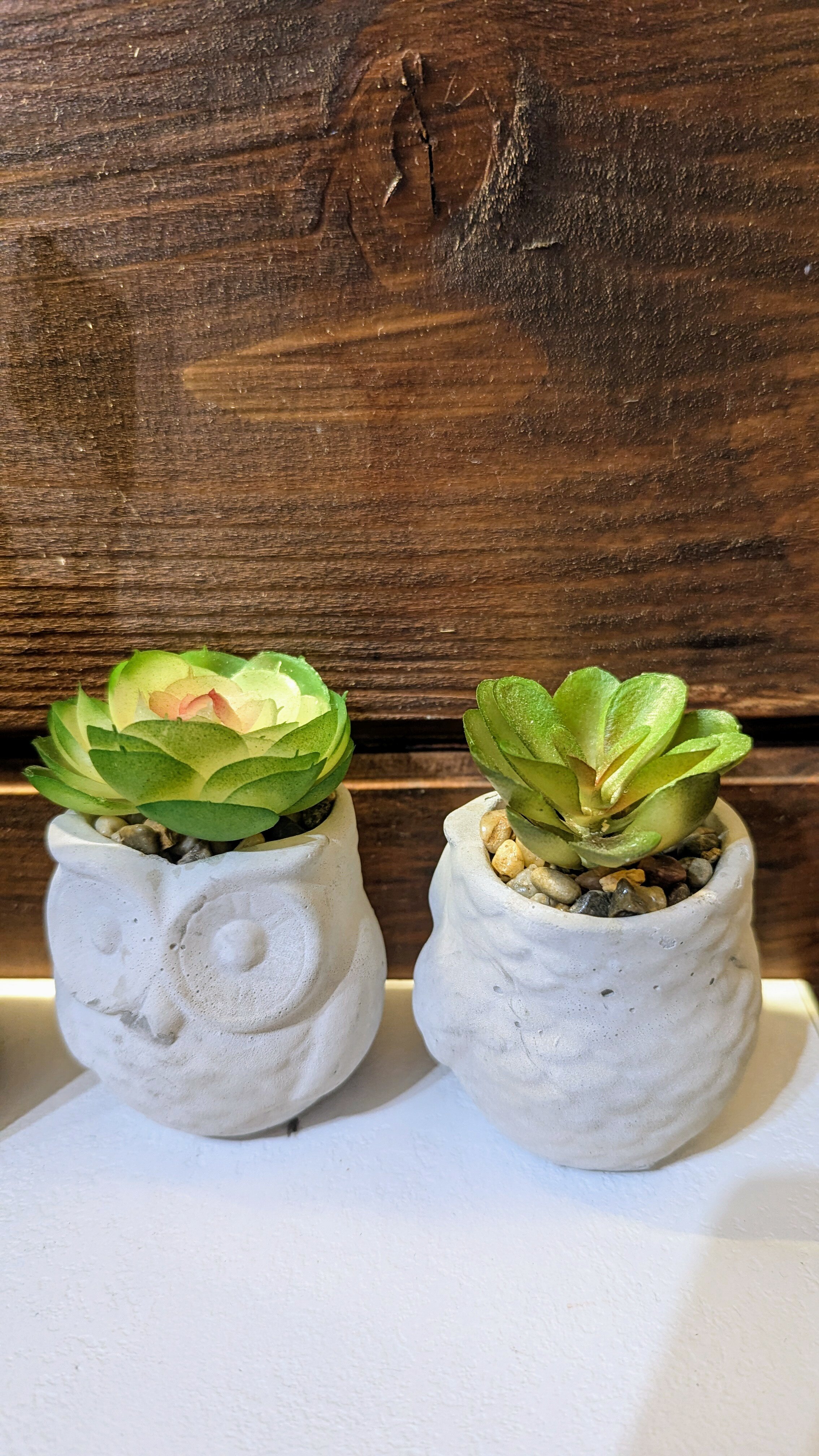 Фото Медвежий Угол