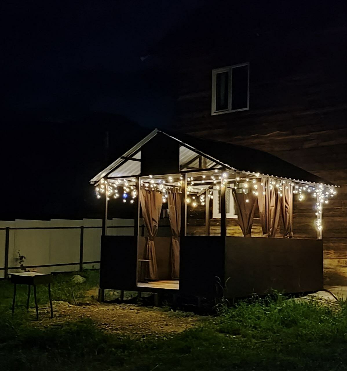 Фото Дикий Еж