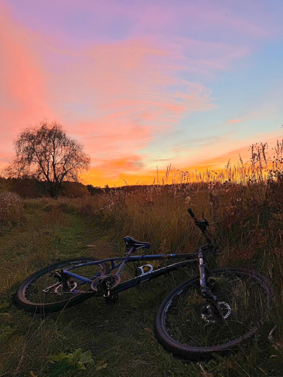 Фото Alagoa Resort