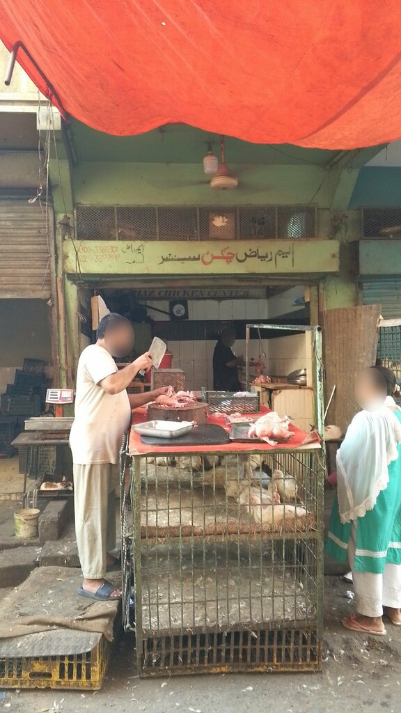 Egg and poultry meat M Riaz Chicken shop, Karachi, photo