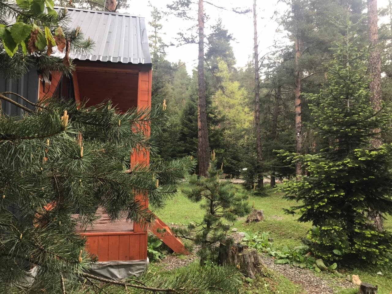 Фото Белый волк